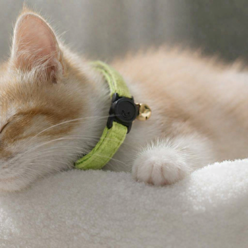 Anypet Stylish Neon Green Cat Collar – Large Size with Safety Buckle, Bell & Durable Strap