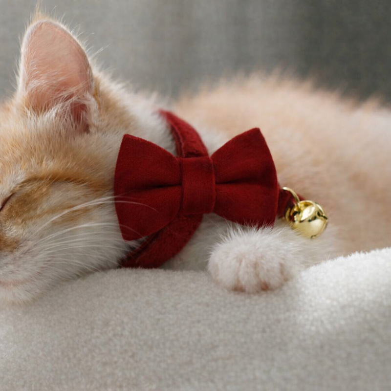 Anypet Stylish Cherry Red Bow Cat Collar – Small Size with Safety Buckle, Bell & Durable Strap
