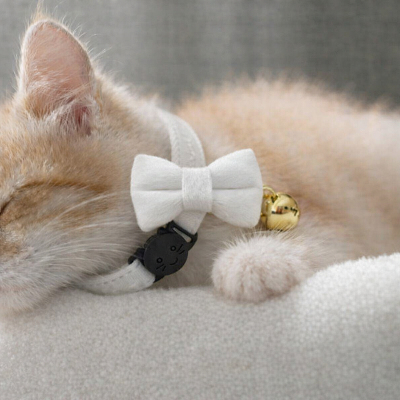 Anypet Stylish Pure White Bow Cat Collar – Small Size with Safety Buckle, Bell & Durable Strap