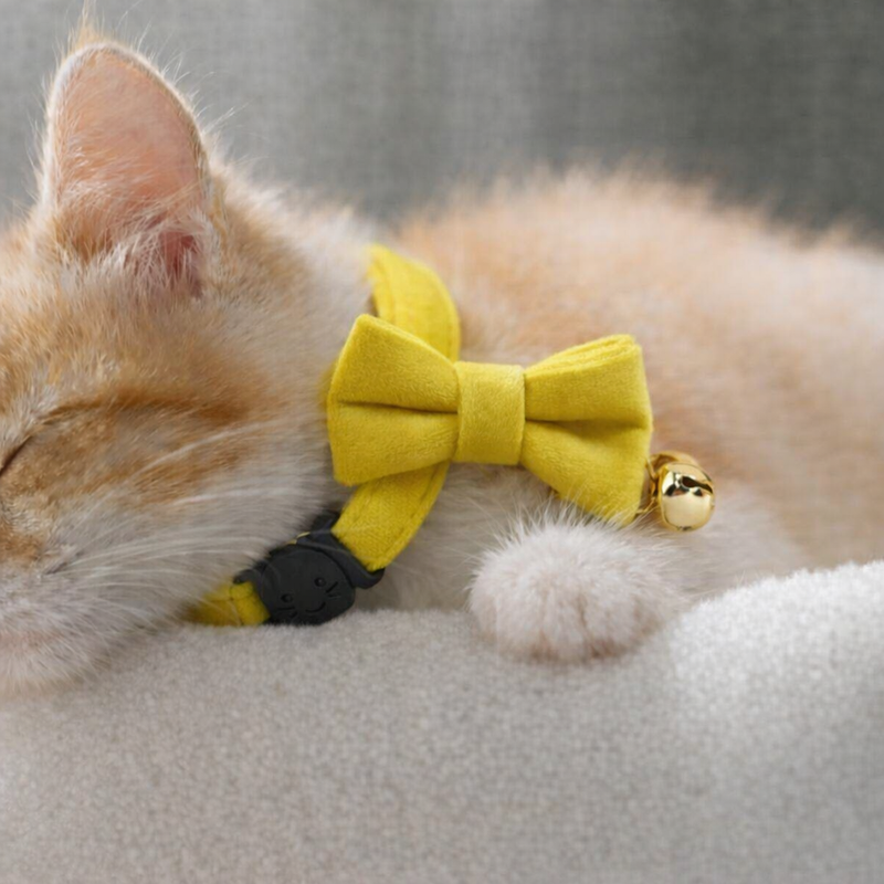 Anypet Stylish Mustard Yellow Bow Cat Collar – Small Size with Safety Buckle, Bell & Durable Strap