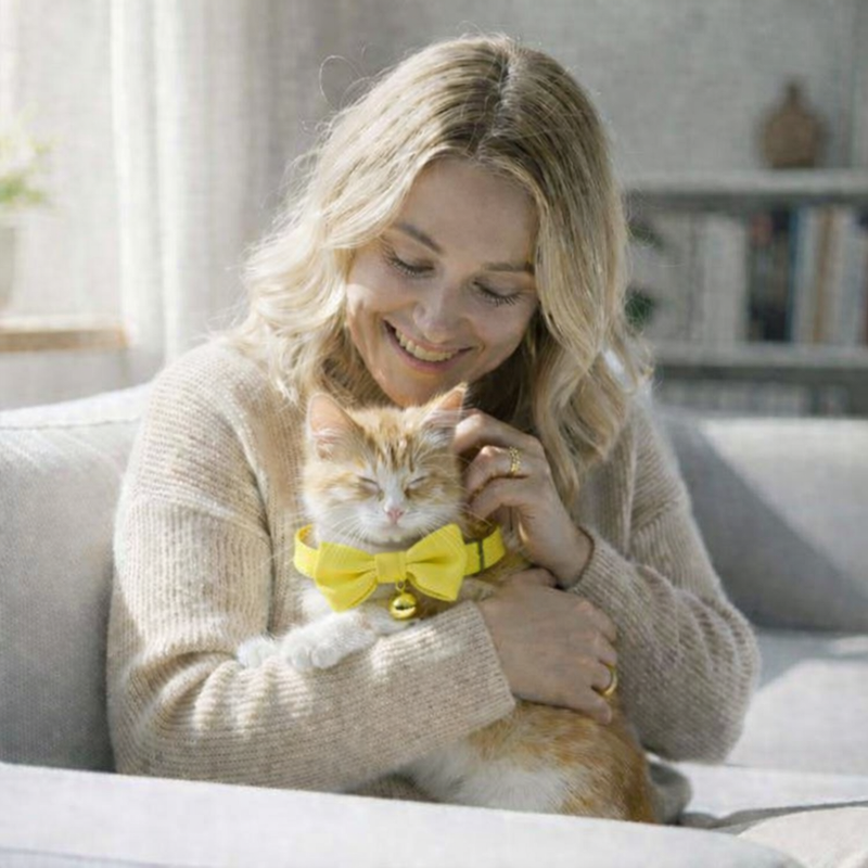 Anypet Stylish Mustard Yellow Bow Cat Collar – Small Size with Safety Buckle, Bell & Durable Strap