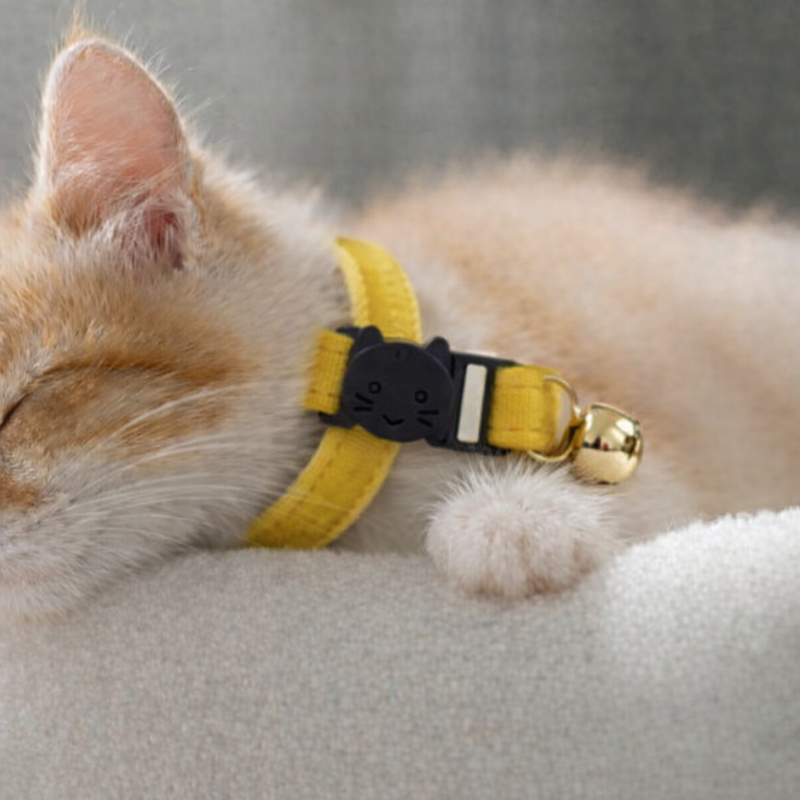 Anypet Stylish Mustard Yellow Cat Collar – Large Size with Safety Buckle, Bell & Durable Strap
