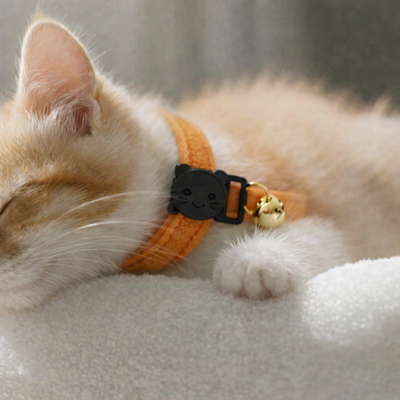 Anypet Stylish Sunset Orange Cat Collar – Large Size with Safety Buckle, Bell & Durable Strap