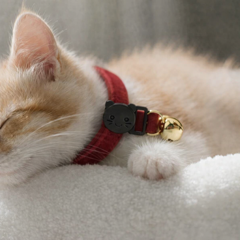 Anypet Stylish Burgandy Cat Collar – Large Size with Safety Buckle, Bell & Durable Strap