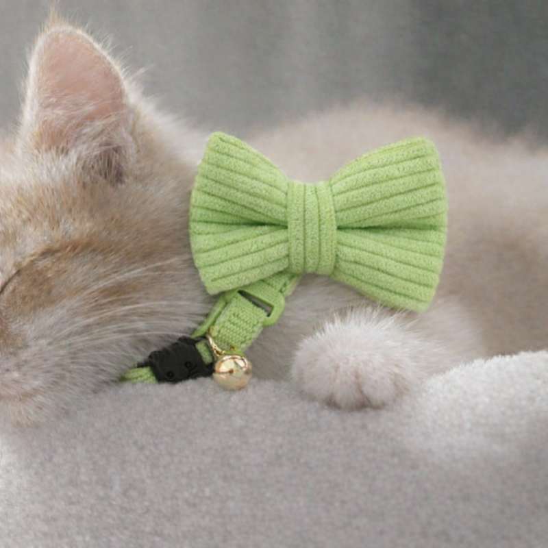 Anypet Stylish Neon Green Bow Cat Collar – Large Size with Safety Buckle, Bell & Durable Strap