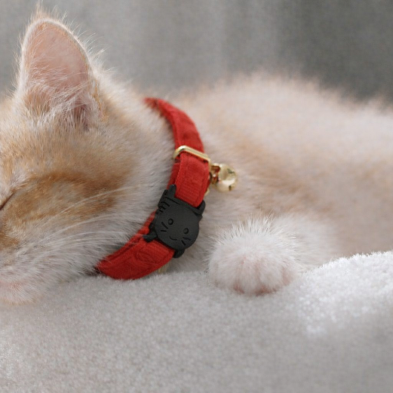 Anypet Stylish Cherry Red Cat Collar – Small Size with Safety Buckle, Bell & Durable Strap