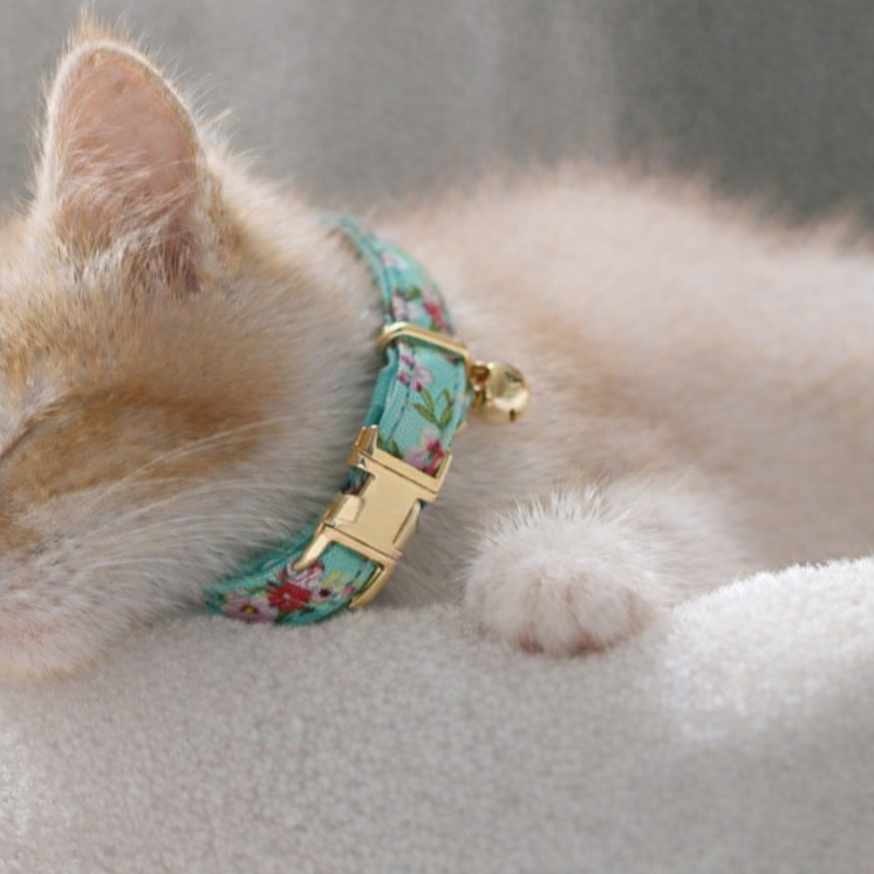 Anypet Stylish Floral Light Blue Cat Collar – Small Size with Safety Buckle, Bell & Durable Strap