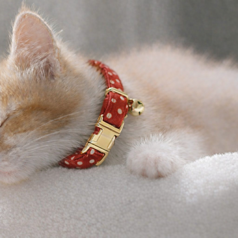 Anypet Stylish Dotted Red Cat Collar – Large Size with Safety Buckle, Bell & Durable Strap