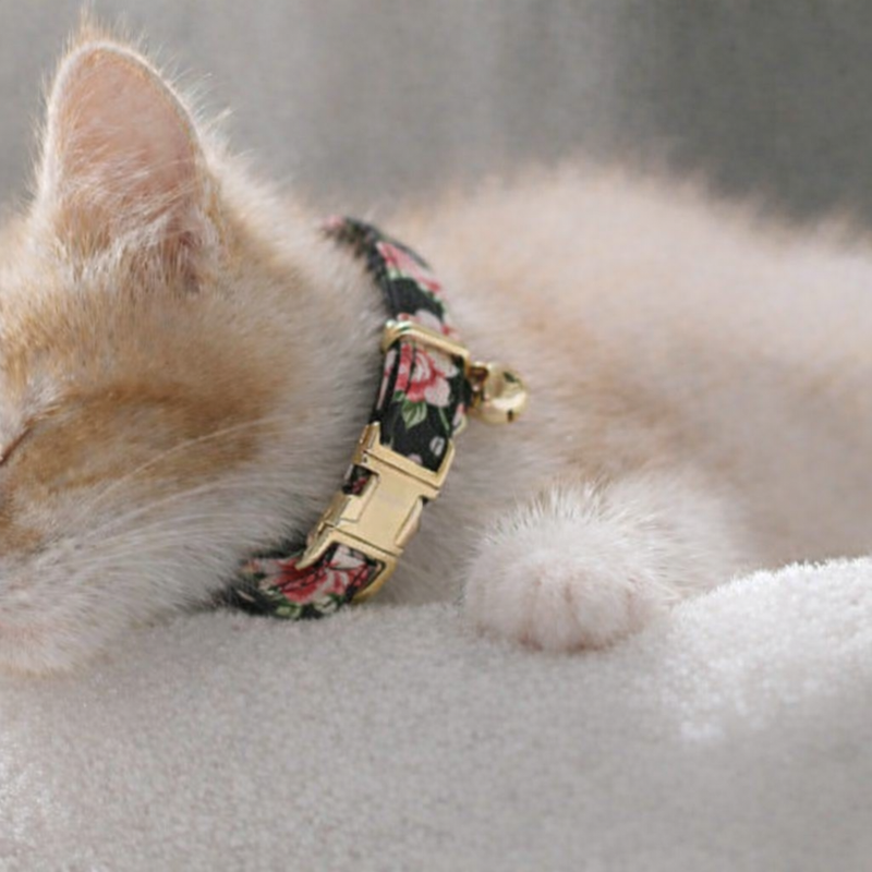 Anypet Stylish Floral Black Cat Collar – Small Size with Safety Buckle, Bell & Durable Strap