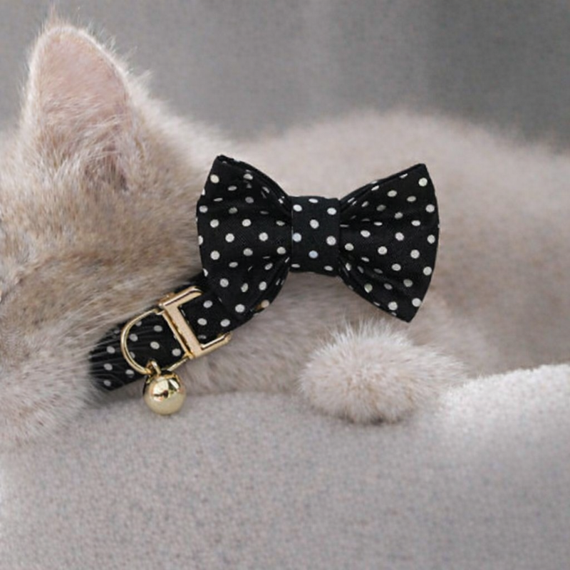 Anypet Stylish Dotted Black Bow Cat Collar – Small Size with Safety Buckle, Bell & Durable Strap