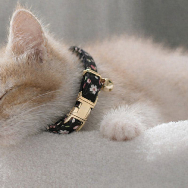 Anypet Stylish Floral Vines Black Cat Collar – Large Size with Safety Buckle, Bell & Durable Strap