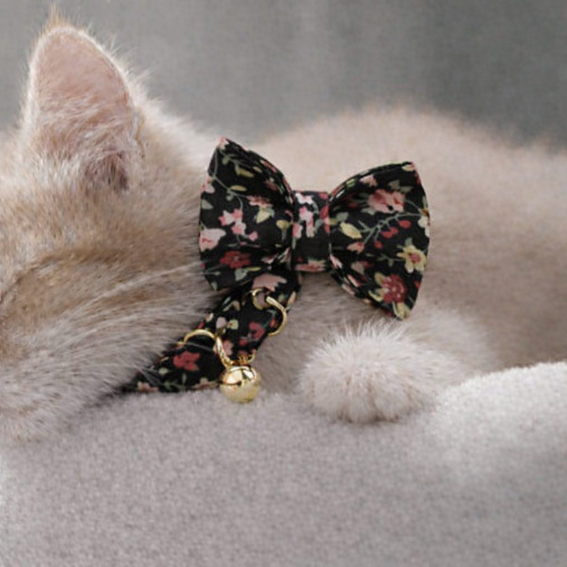 Anypet Stylish Floral Vines Black Bow Cat Collar – Large Size with Safety Buckle, Bell & Durable Strap