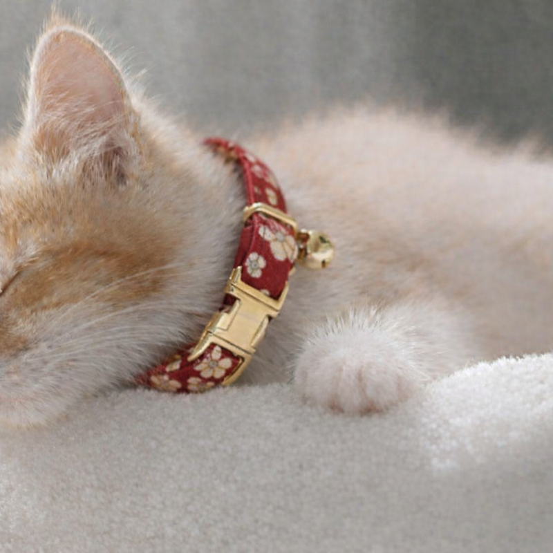 Anypet Stylish Floral Red Cat Collar – Large Size with Safety Buckle, Bell & Durable Strap