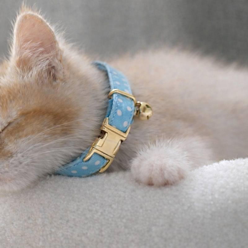 Anypet Stylish Dotted Light Blue Cat Collar – Large Size with Safety Buckle, Bell & Durable Strap