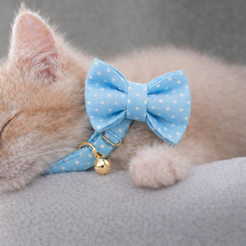 Anypet Stylish Dotted Light Blue Bow Cat Collar – Large Size with Safety Buckle, Bell & Durable Strap