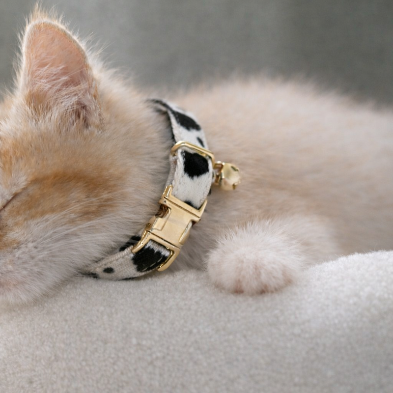 Anypet Stylish Cow Print Cat Collar – Large Size with Safety Buckle, Bell & Durable Strap