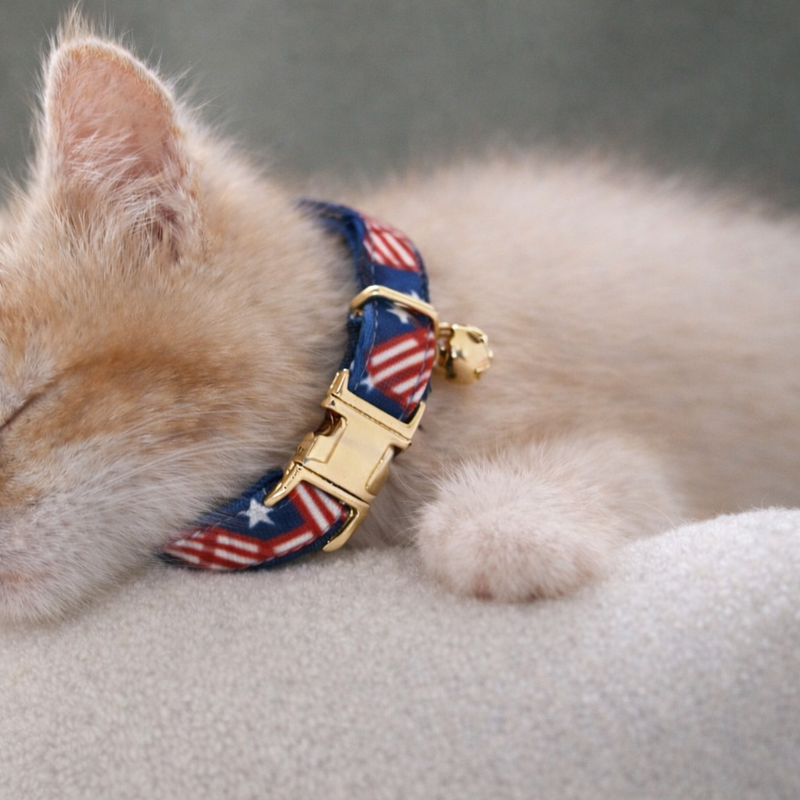 Anypet Stylish Red Blue Cat Collar – Large Size with Safety Buckle, Bell & Durable Strap