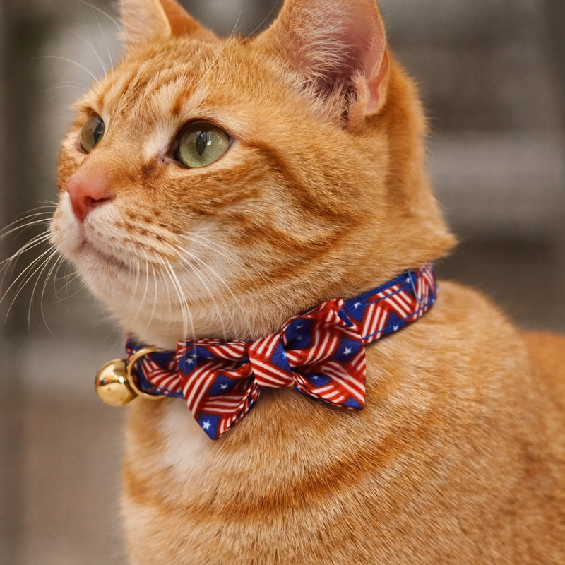 Anypet Stylish Red Blue Bow Cat Collar – Small Size with Safety Buckle, Bell & Durable Strap