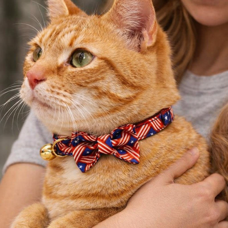 Anypet Stylish Banner Red Cat Collar – Large Size with Safety Buckle, Bell & Durable Strap