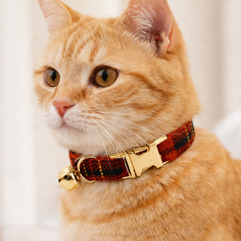 Anypet Stylish Checker Red Cat Collar – Small Size with Safety Buckle, Bell & Durable Strap