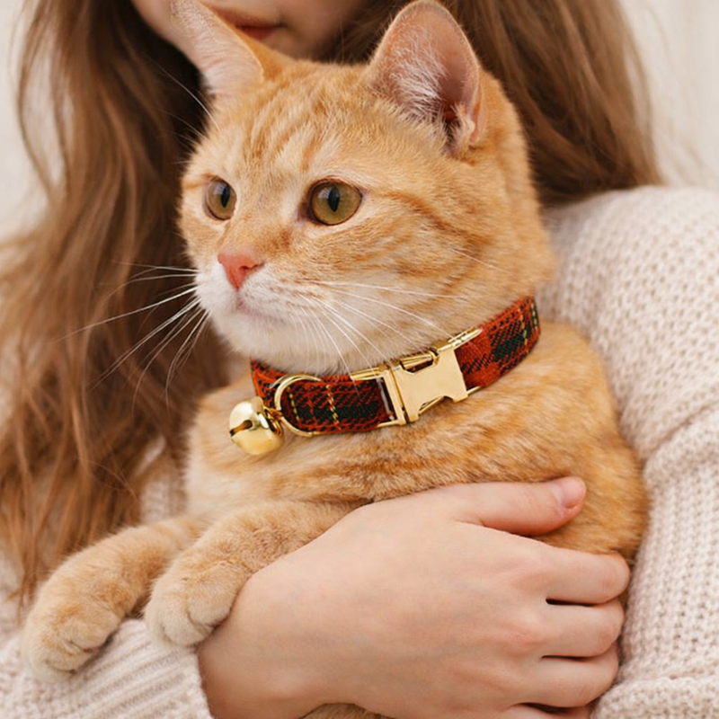 Anypet Stylish Checker Red Cat Collar – Small Size with Safety Buckle, Bell & Durable Strap
