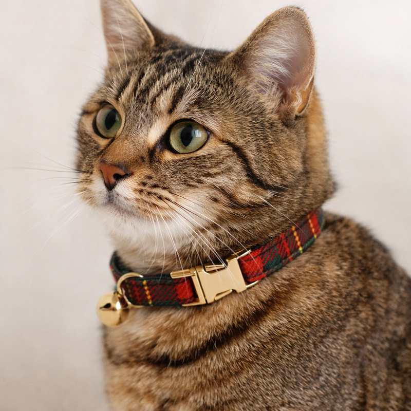 Anypet Stylish Checked Black Cat Collar – Large Size with Safety Buckle, Bell & Durable Strap