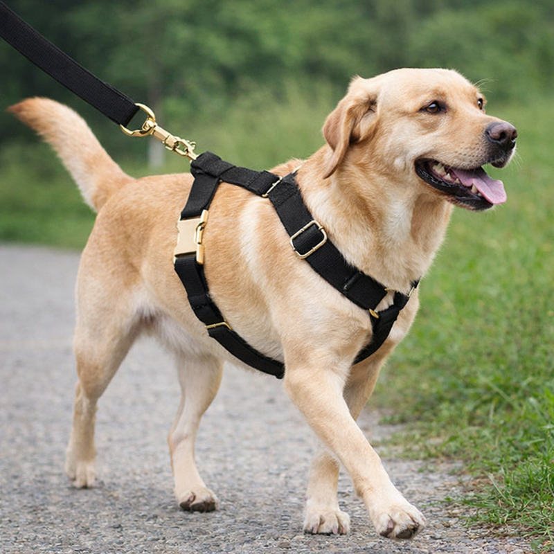 Anypet Heavy Duty Dog Leash – Black Crystal Spiral Metal Harness Lead for Training & Walking