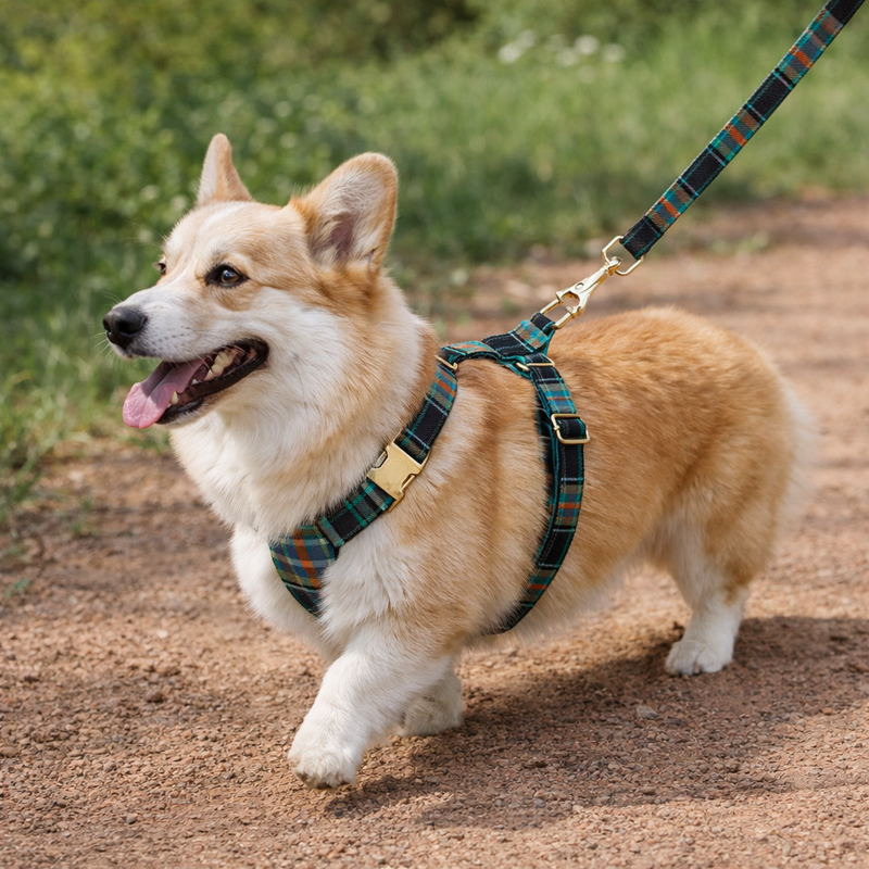 Anypet Heavy Duty Dog Leash – Dark Green Plaid Spiral Metal Harness Lead for Training & Walking