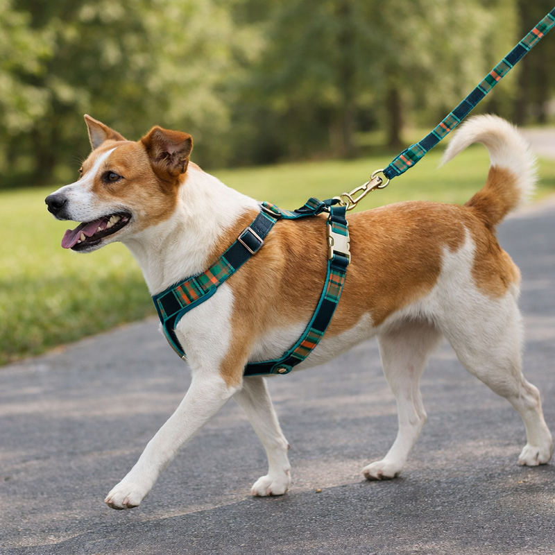Anypet Heavy Duty Dog Leash – Dark Green Plaid Spiral Metal Harness Lead for Training & Walking