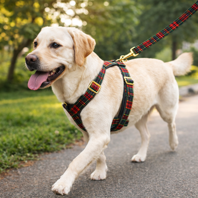 Anypet Heavy Duty Dog Leash – Red Green Plaid Spiral Metal Harness Lead for Training & Walking