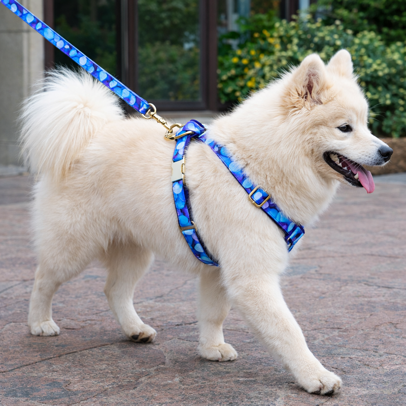 Anypet Heavy Duty Dog Leash – Blue Mermaid Spiral Metal Harness Lead for Training & Walking