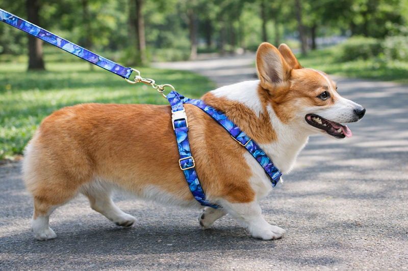 Anypet Heavy Duty Dog Leash – Blue Mermaid Spiral Metal Harness Lead for Training & Walking