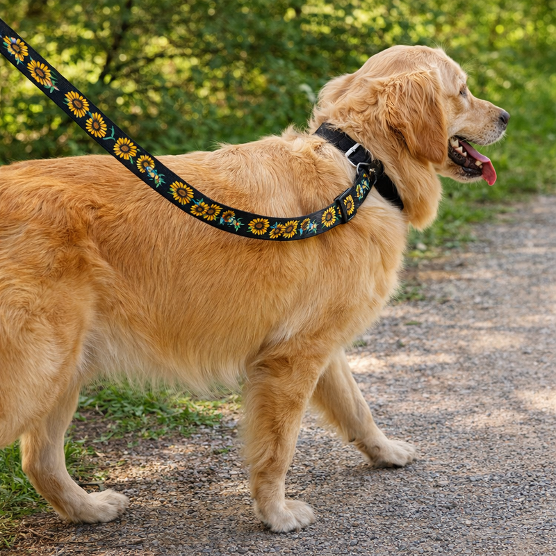 Anypet Dog Leash – Black Sunflower Rope Harness Lead for Training & Walking