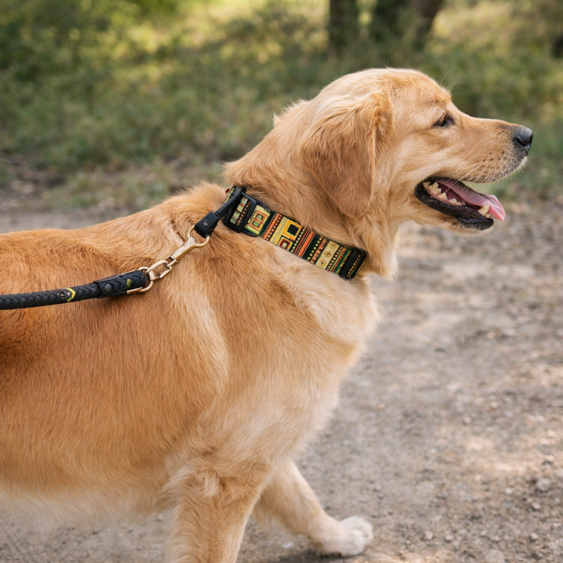 Anypet Multicolor Art Dog Collar - Stylish Comfortable Dog Accessory