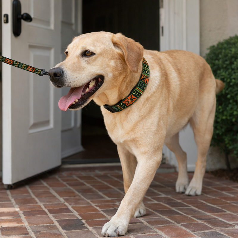 Anypet Multicolor Abstract Dog Leash- Stylish Comfortable Dog Accessory