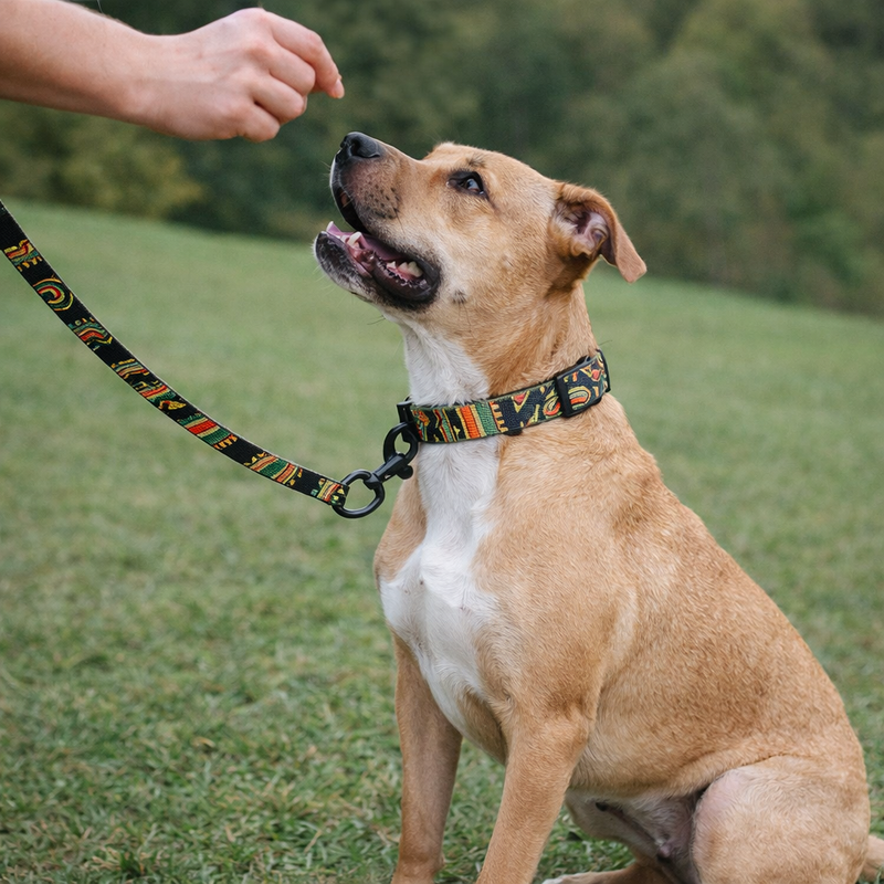 Anypet Multicolor Abstract Dog Leash- Stylish Comfortable Dog Accessory