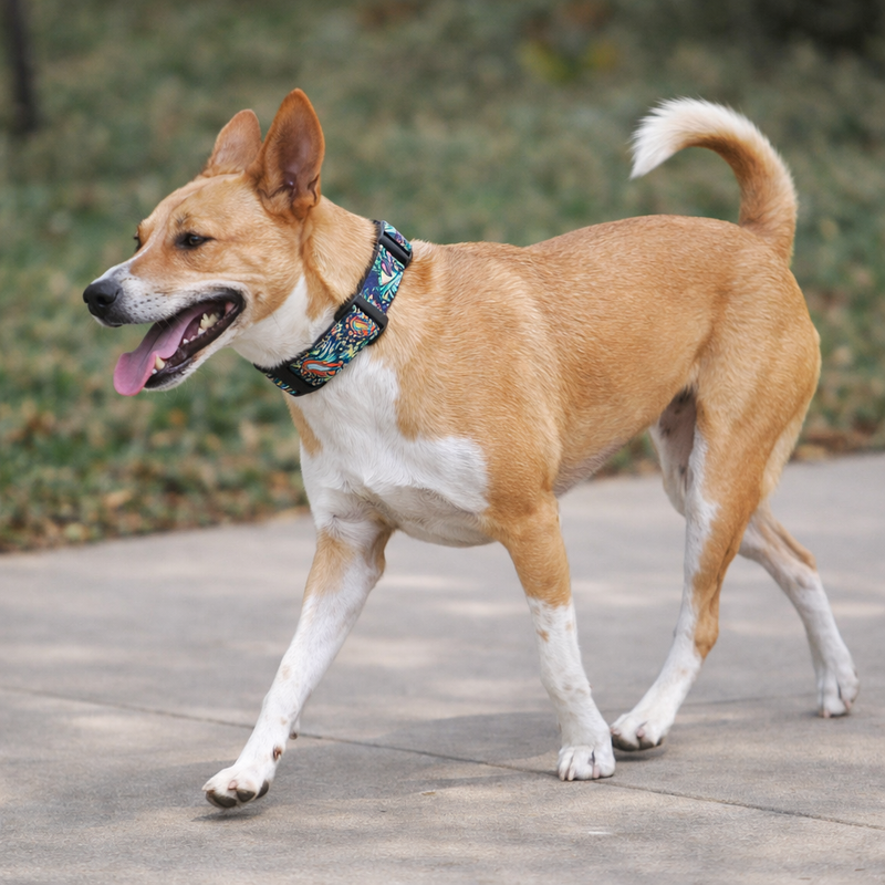 Anypet Green Aztec Dog Collar - Stylish Comfortable Dog Accessory