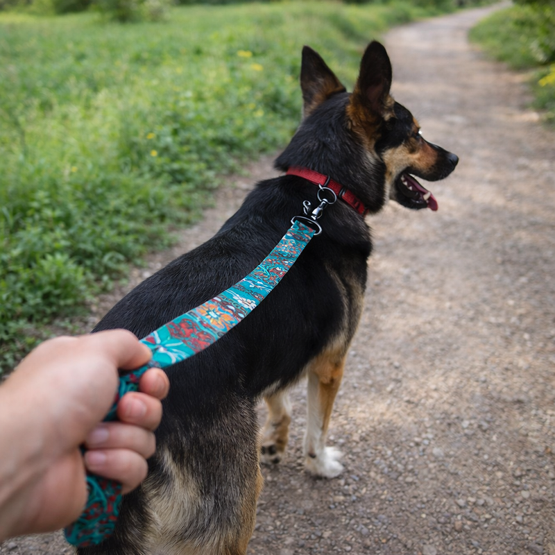 Anypet Green Aztec Dog Leash - Stylish Comfortable Dog Accessory