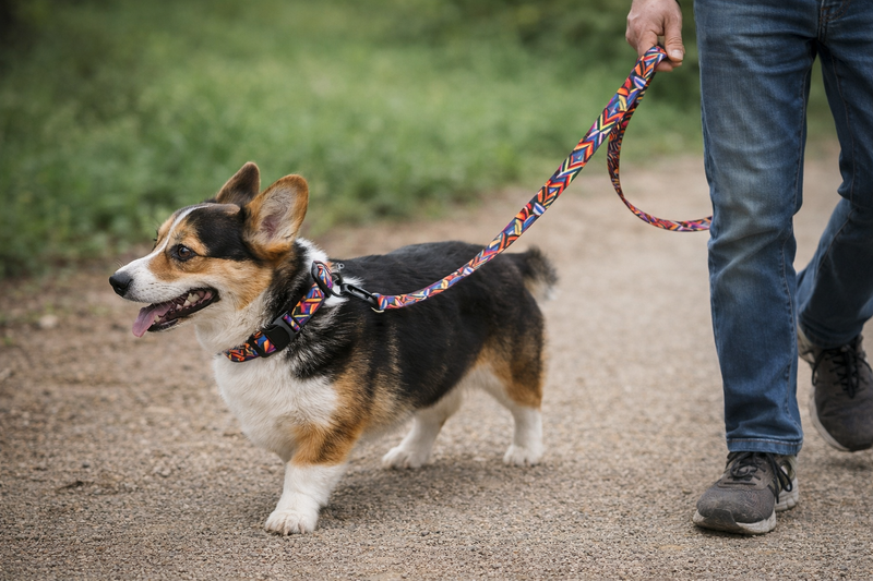 Anypet Red Aztec Dog Collar and Leash Set Harness Lead for Training & Walking