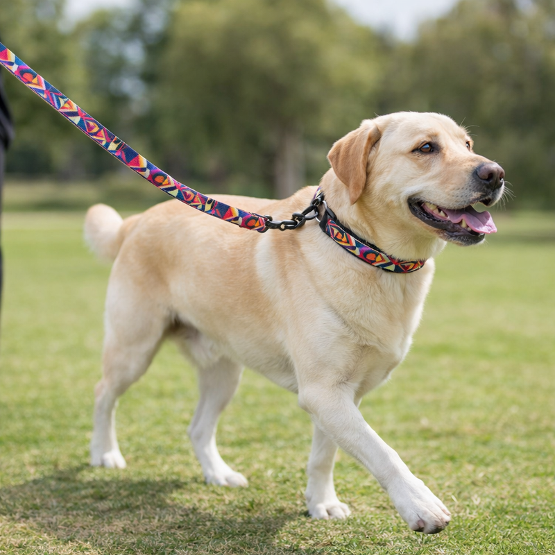 Anypet Red Aztec Dog Collar and Leash Set Harness Lead for Training & Walking