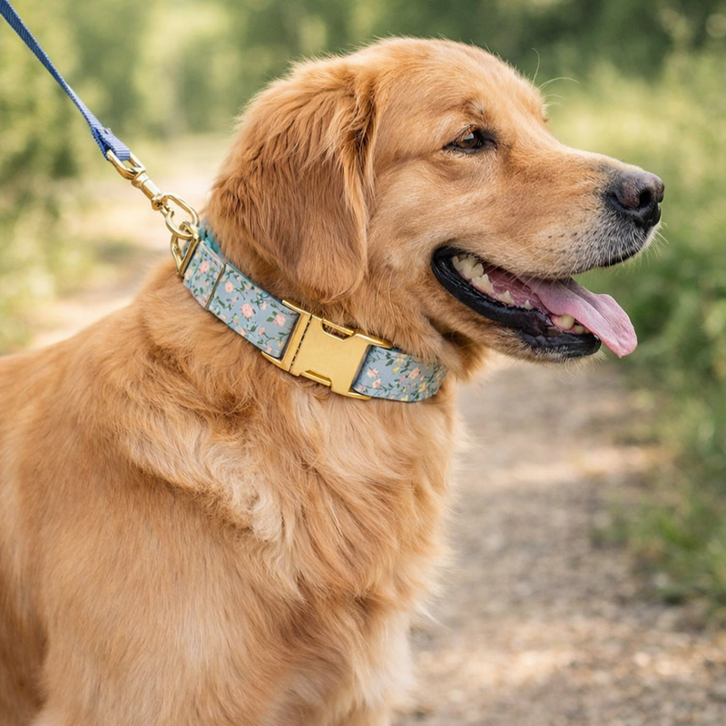 Anypet Powder Blue Dog Collar - Stylish Comfortable Dog Accessory with Safety Buckle Durable Strap