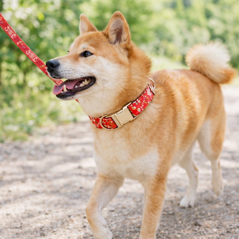 Anypet Red Floral Dog Collar - Stylish Comfortable Dog Accessory with Safety Buckle Durable Strap