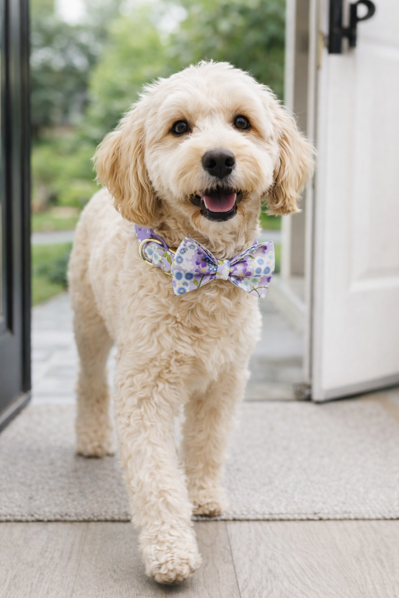 Anypet RedPurple Floral Dog Bow Collar - Stylish Comfortable Dog Accessory with Safety Buckle Durable Strap