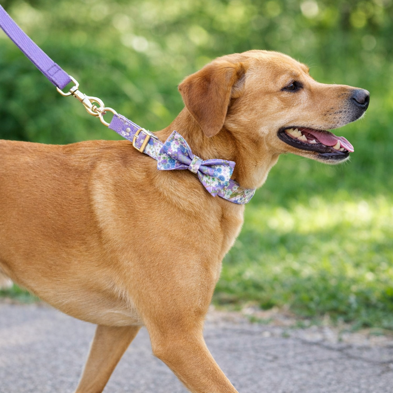 Anypet RedPurple Floral Dog Bow Collar - Stylish Comfortable Dog Accessory with Safety Buckle Durable Strap