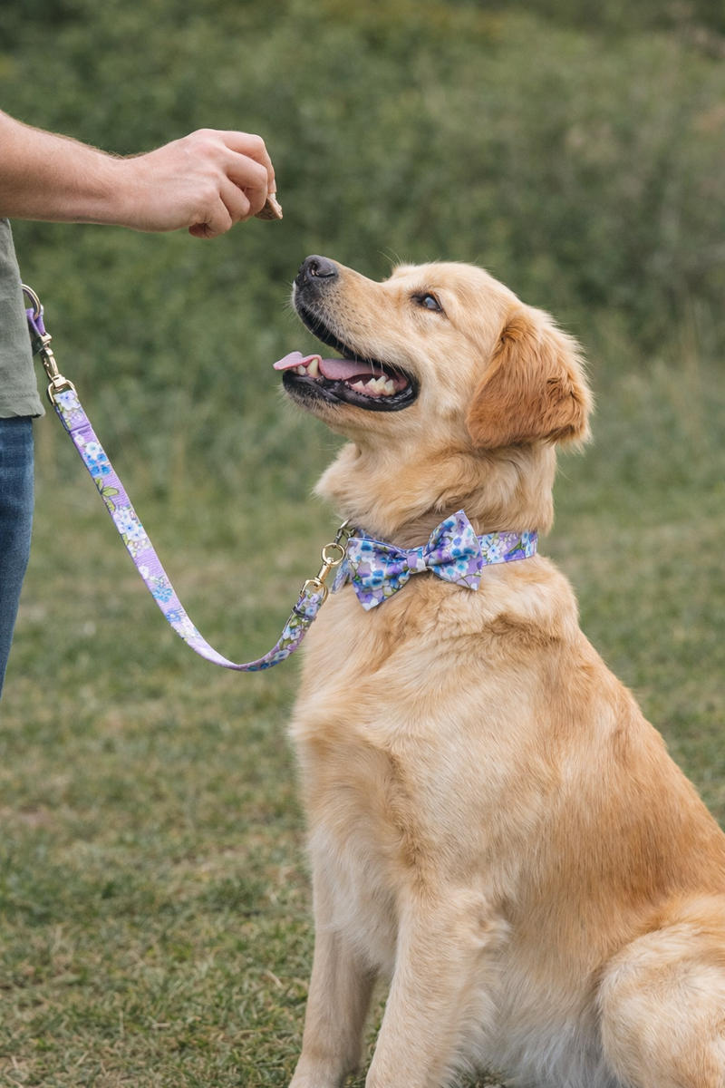 Anypet Purple Floral Bow Dog Collar and Leash Set Harness Lead for Training & Walking
