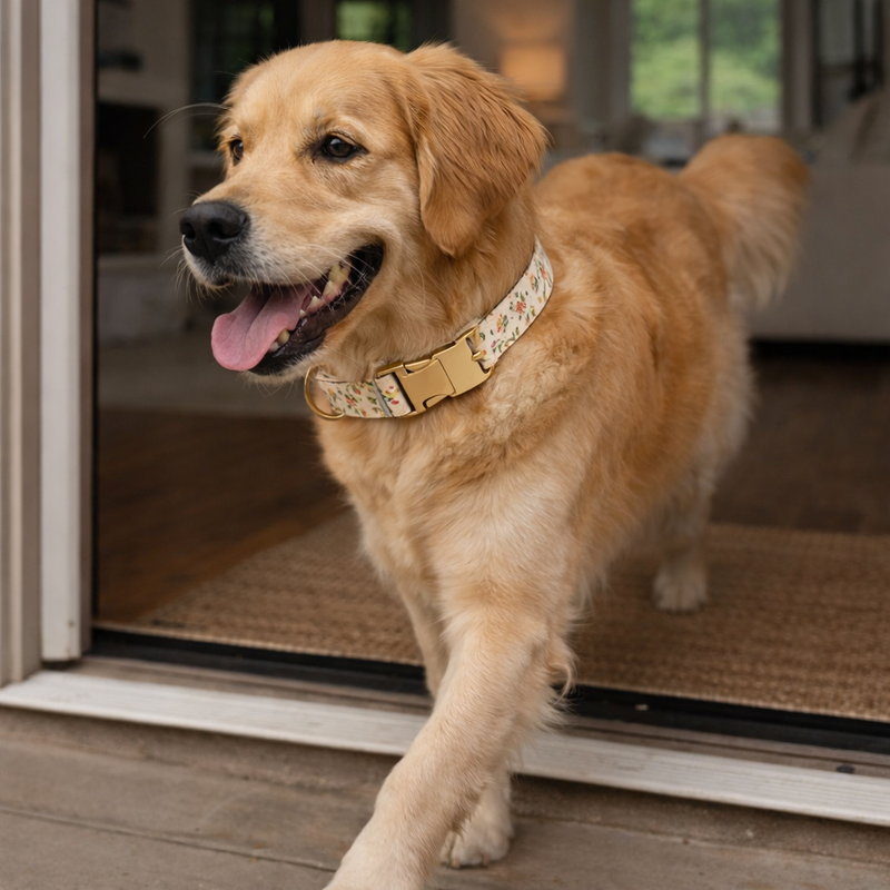 Anypet White Floral Dog Collar - Stylish Comfortable Dog Accessory with Safety Buckle Durable Strap
