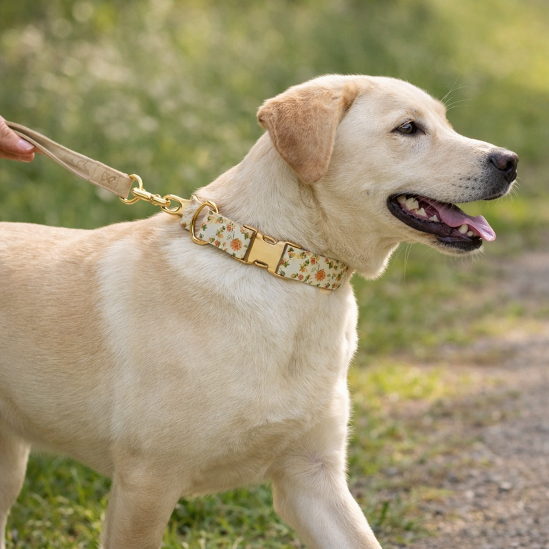 Anypet White Floral Dog Collar - Stylish Comfortable Dog Accessory with Safety Buckle Durable Strap