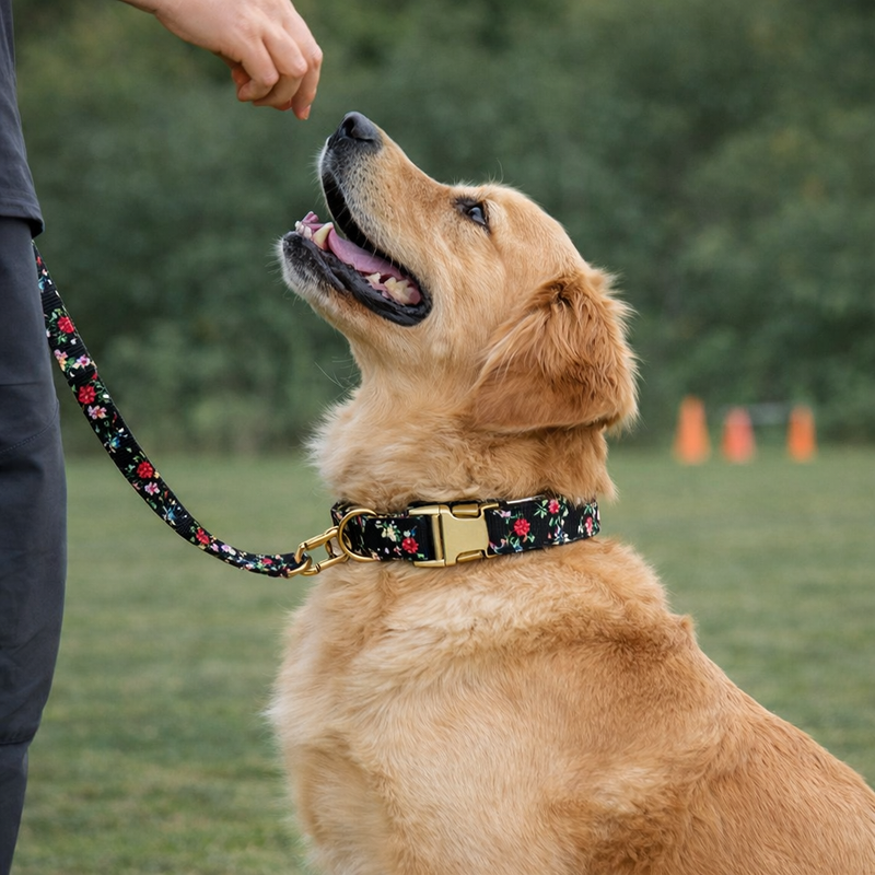 ANYWAGS Black Floral Dog Collar - Stylish Comfortable Dog Accessory with Safety Buckle Durable Strap
