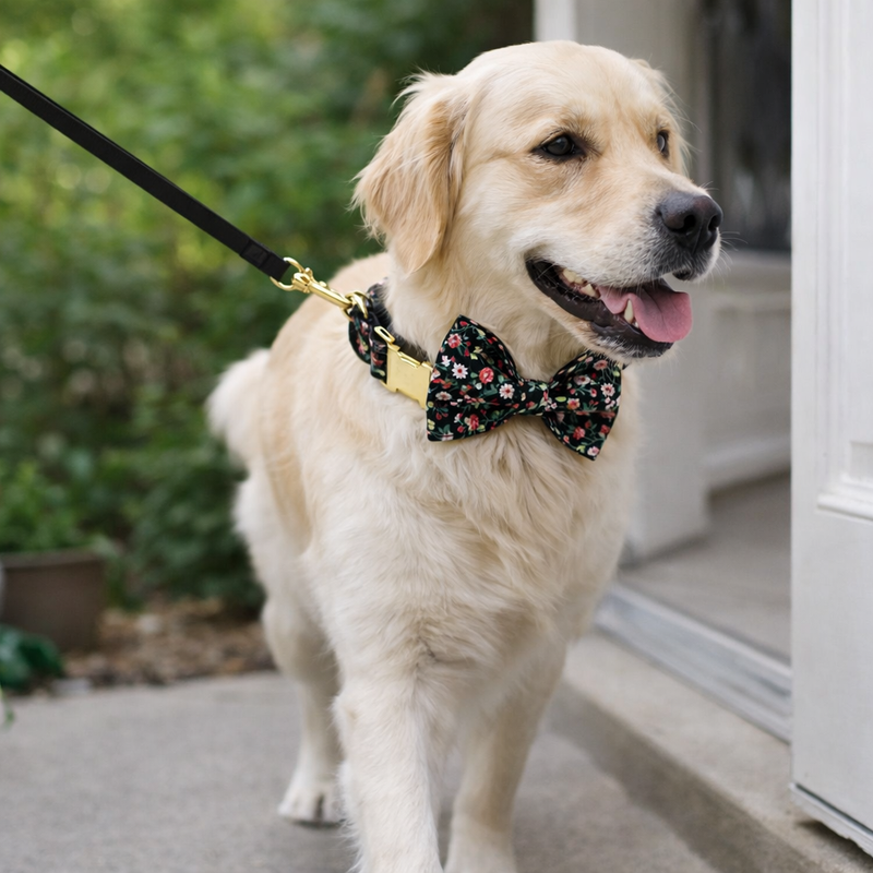 ANYWAGS Pet Bow Collar Black Floral Stylish Accessory with Safety Buckle Durable Strap
