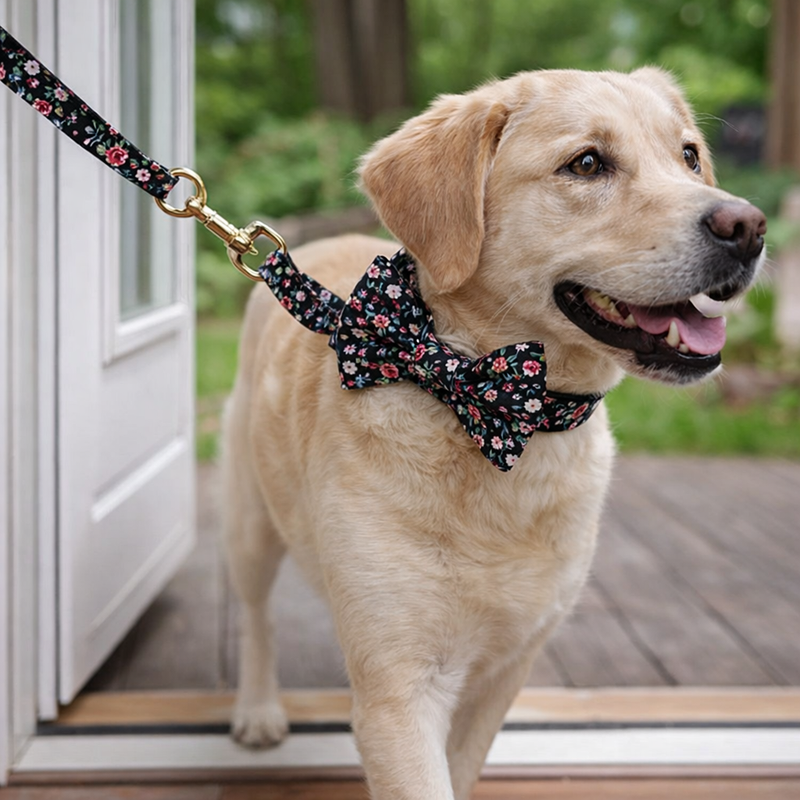 ANYWAGS Black Floral Bow Dog Collar and Leash Set Harness Lead for Training & Walking